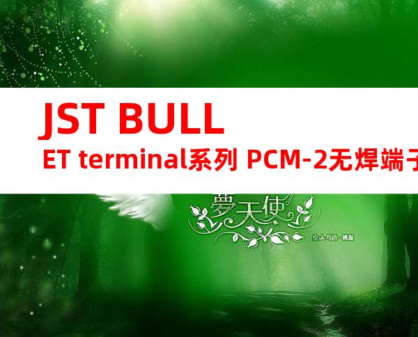 JST BULLET terminal系列 PCM-2无焊端子产品规格书